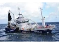Lagu Mackerel Fishing in The North Sea September 2013