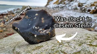 Snow, sea urchins, sea lilies - looking for fossils in the Baltic Sea