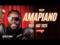 Lagu AMAPIANO MIX 2025 VOL189 | DJ WEBABA