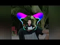 Download Lagu LAGU VIRAL TIK TOK LEWAIE HEE RASA EDIT REMIX 2022