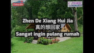 Download Zhen De Xiang Hui Jia (真的想回家) MP3