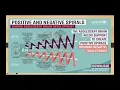 Download Lagu KNH-UoN Symposium : Adolescent Health Symposium - Why We Must Collaborate to Improve It.