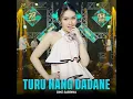 Turu Nang Dadane - Dike Sabrina