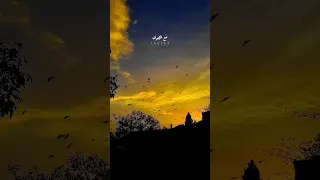 عبد الرحمن محمد وحلفت انك لا تميل مع الهوى 