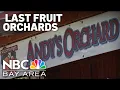 One of Santa Clara County s last fruit orchards faces closure