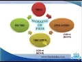 PIC Microcontroller - PWM basics