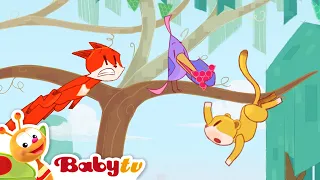 a grape adventure who will win the race babytv