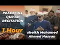 Peaceful Quran Recitation of Surah At-Tawbah | Mohamed Ahmed Hassan (1 Hour)