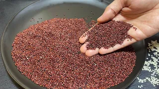 Homemade Superfood Powder for Bone Health – Calcium & Protein Rich Healthy Immunity Booster