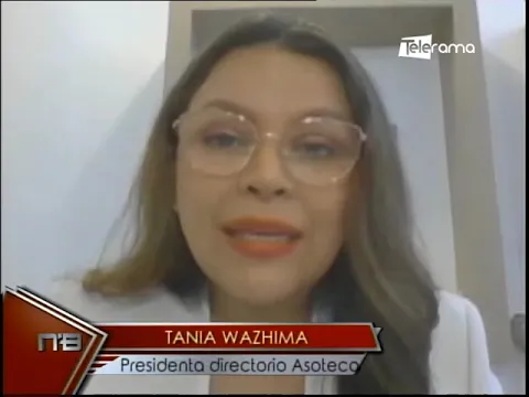 Asoteca identifica problemáticas del sector forestal ecuatoriano