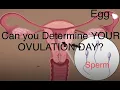 Download Lagu Can You Count Your Ovulation Day?