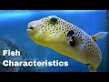 Fish Characteristics