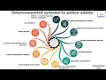 P C insurance software - Interconnected systems to policy administration