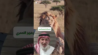 رؤية الاسد في المنام والاسرار التي يحملها 