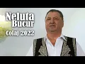 Download Lagu Neluta Bucur - Colaj de Petrecere 2022 - MELODII NOI NELUTA BUCUR
