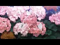 [가사] 이유하, 모습 / 눈 감은 그대 모습은 흠 없는 그림 주인공 같아 (Lee You Ha - YouR AppearancE)