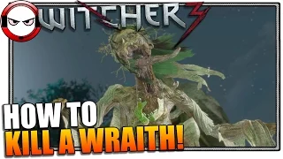 The Witcher 3 - How to kill a Wraith Witcher 3 gameplay