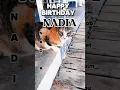 Download Lagu Happy Birthday Nadlä #nadia #geburtstag #gottessegen🙏🍀🍀