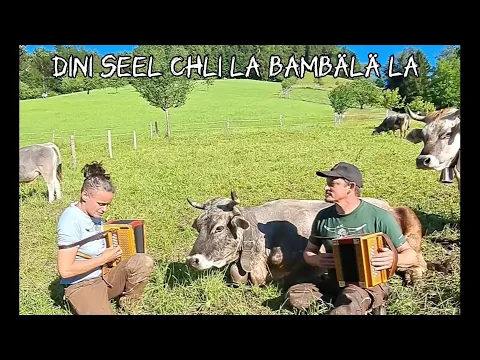 Download MP3 s'Chochä mit Schwyzerörgeli  - Dini Seel chli la bambälä la  🇨🇭