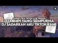 Lagu DJ MIMPI YANG SEMPURNA || DJ SADARKAH AKU YANG BERJALAN DALAM KEHAMPAAN VIRAL TIKTOK!!