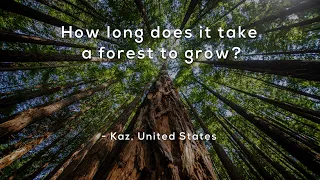 How long does it take a forest to grow?