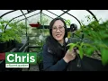 Super Simple Spider Mite Control and Prevention