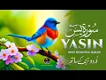 Download Lagu Surah Yaseen (Yasin) سورة يس | Relieve Stress, Anxiety \u0026 Find Peace in the Quran | Healing Tilawat