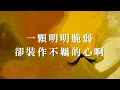 陳默Mochen -《無腳鳥》Lyric Video