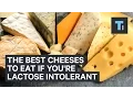 The best cheeses to eat if you re lactose intolerant