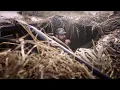 KUIU Waterfowl Sky s The Limit