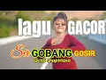 Download Lagu SIR GOBANG GOSIR || LAGU DANGDUT GACOR || Cover: Ocha Shaptriasa