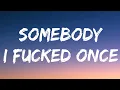 Lagu Zolita - Somebody I fucked Once (Lyrics)