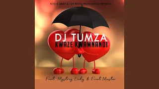 kwaze kwamnandi feat freet master guitar mix 