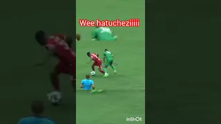 Huyu Mpanzu Ni Mnoma Sana  Huyu Mpanzu Ni Mnoma Sana