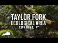 Taylor Fork Ecological Area A Slice of Nature in Richmond KY
