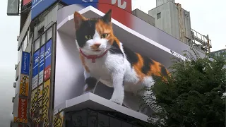 اكثر اعلانات 3D ابهارا في العالم 