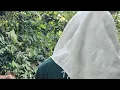 Download Lagu BISMILAH KAKEK SOLEHPATI MAU PULANG JENGUK ISTRINYA!