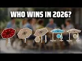 The Top 5 Best Outdoor Umbrellas in 2026 - Must Watch Before Buying