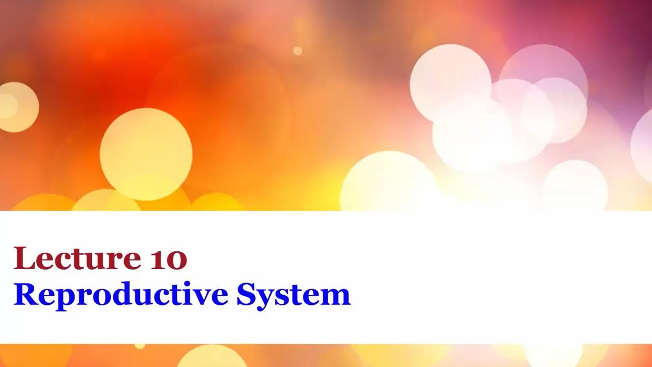 Lecture 10 - Reproductive System