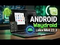 How to Install Waydroid on Linux Mint 22 3 Zena Run Android Apps on Linux with Weston