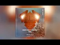 Mahmut Orhan - Feel feat. Sena Sener (Radio Edit) [Cover Art]