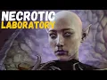 Baldur s Gate 3 Necrotic Laboratory Walkthrough Guide Baldur s Gate 3 gameplay no commentary