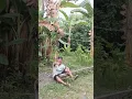 Download Lagu video lucu bikin ngakak hiburan warga+62 mau ketawa takut dosa funny videos viral video