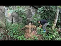 Download Lagu Mysterious grave in deep forest, clean the grave, walking in the rain looking for shelter.