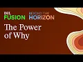 The Power of Why Uncovering Brightspace Potential and re-Designing for What s Next
