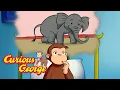 What s That Noise Curious George Kids Cartoon Kids Movies