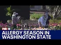 Washington launches pollen surveillance system