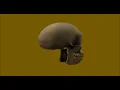 All My Friends Are Dead by Nameless