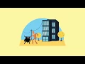 Cyber Essentials Ep 4 - Access Control Privilege Management