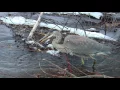 209 Ausable Point Campground